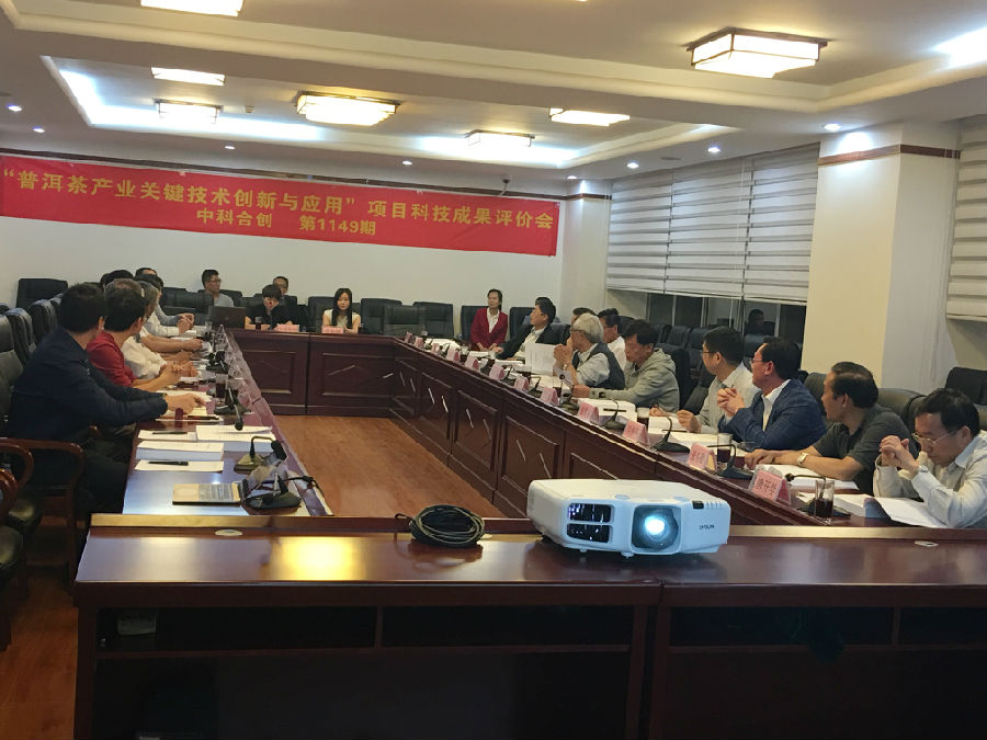 普洱茶1-1.jpg 普洱茶1-1.jpg