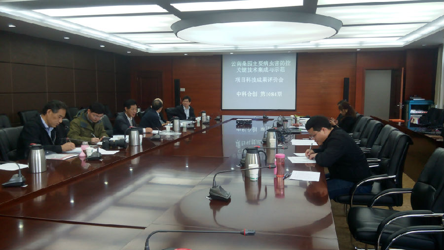 云南桑园3.jpg 云南桑园3.jpg