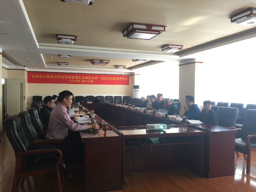 云南地方猪肉1.jpg 云南地方猪肉1.jpg