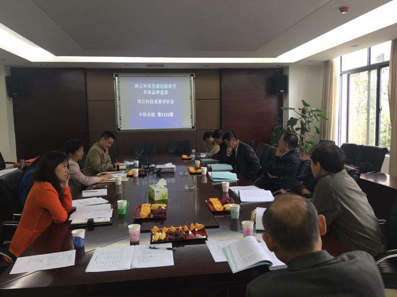 豌豆2.jpg 豌豆2.jpg